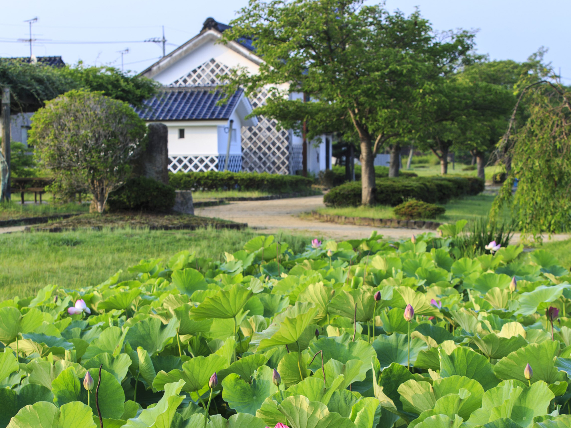 備中高松城址